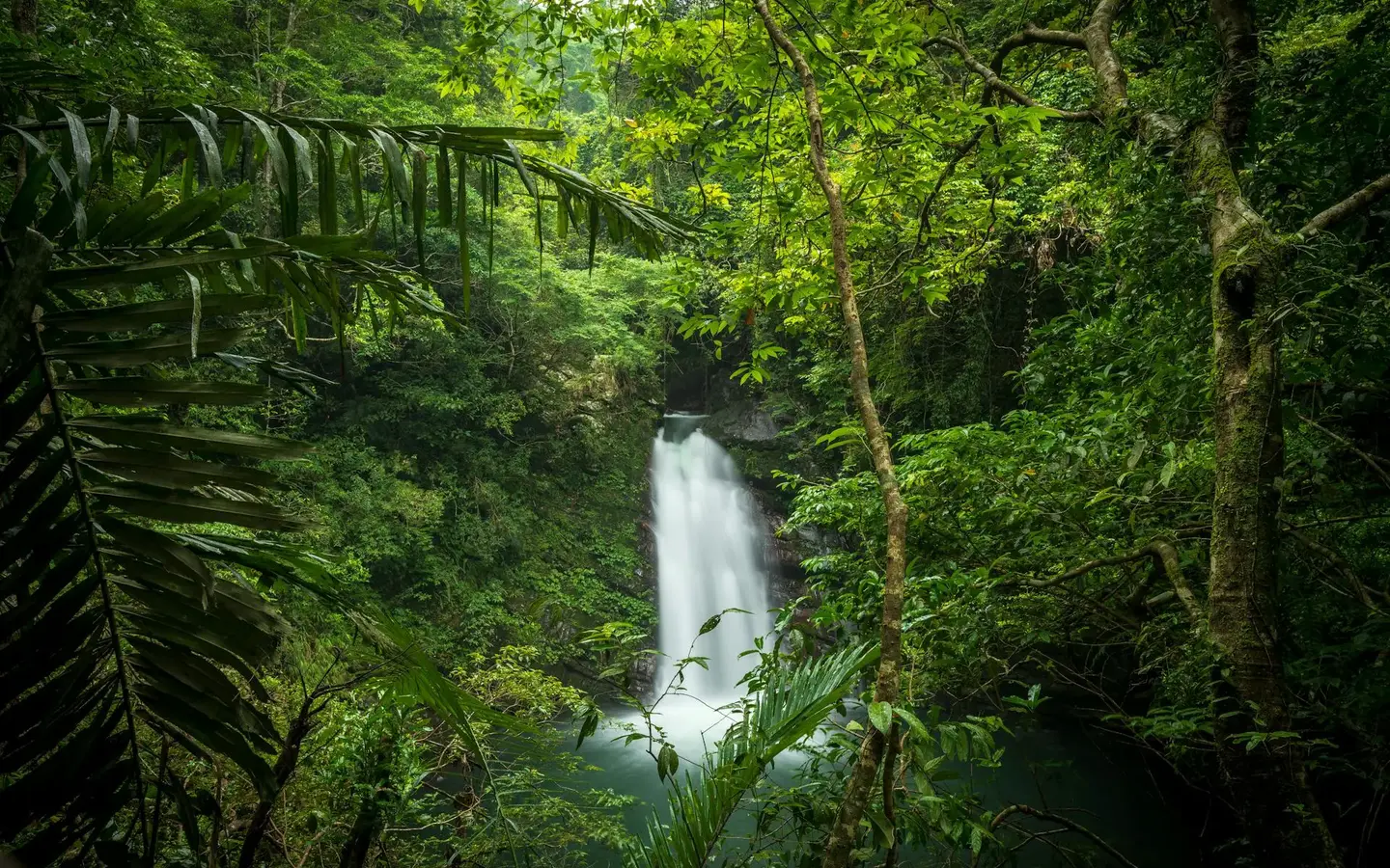 Hidden jungle waterfall in the Dominican Republic highlands