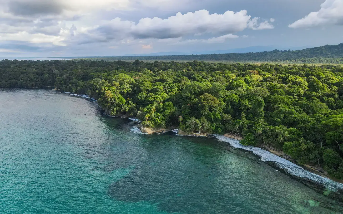 Rainforest meeting the Caribbean Sea at Punta Uva, on Costa Rica's south Caribbean coast