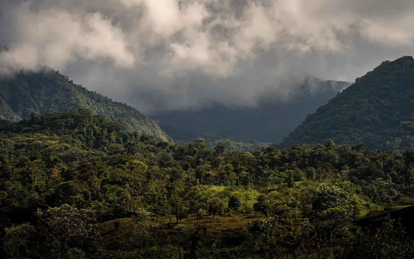 Cloud pouring over forested ridgelines above the valley at Bajos del Toro, Costa Rica