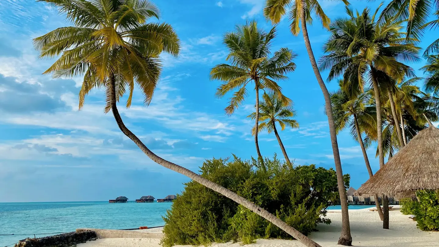 Couple walking on a pristine Dominican Republic beach at sunset