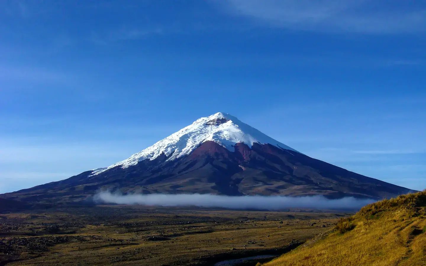 The snow-capped cone of Cotopaxi volcano above a band of cloud and the golden páramo, Ecuador
