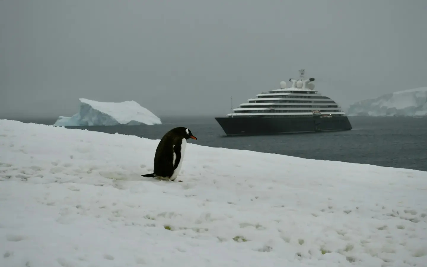 Galapagos Eastern Islands Expedition