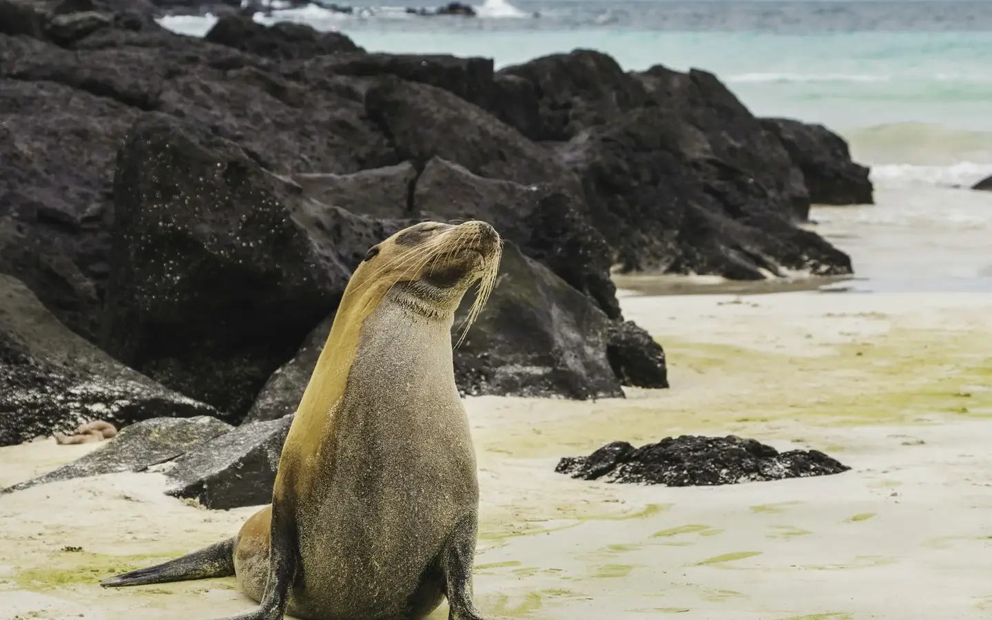 Galapagos Islands landscape