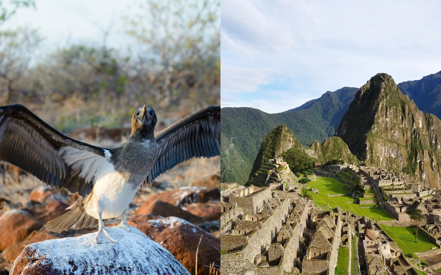 Galápagos Islands wildlife and Machu Picchu citadel — combined twin-centre holiday