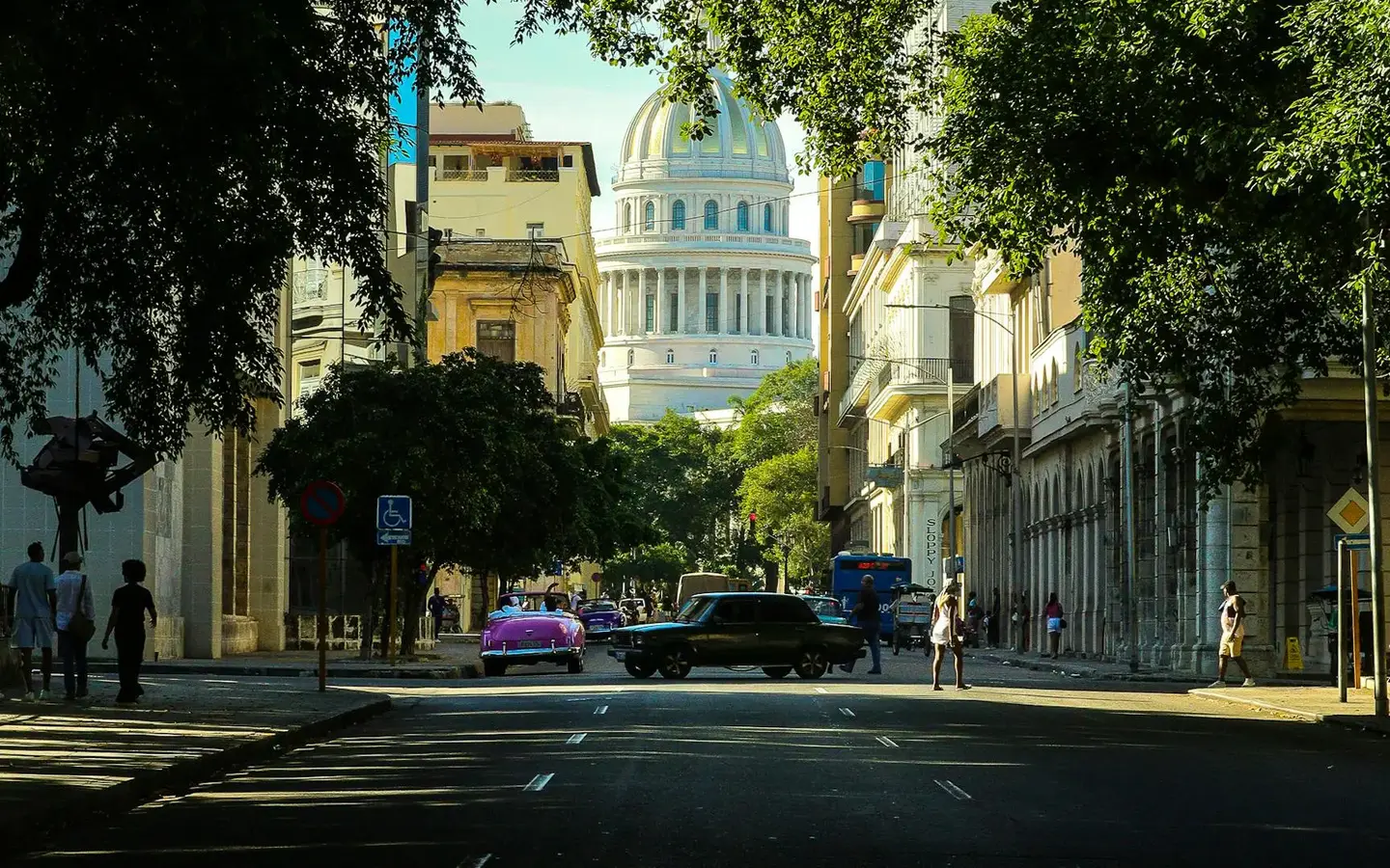 Tree-lined avenue in Havana with the National Capitol dome framed by classic colonial architecture and vintage cars