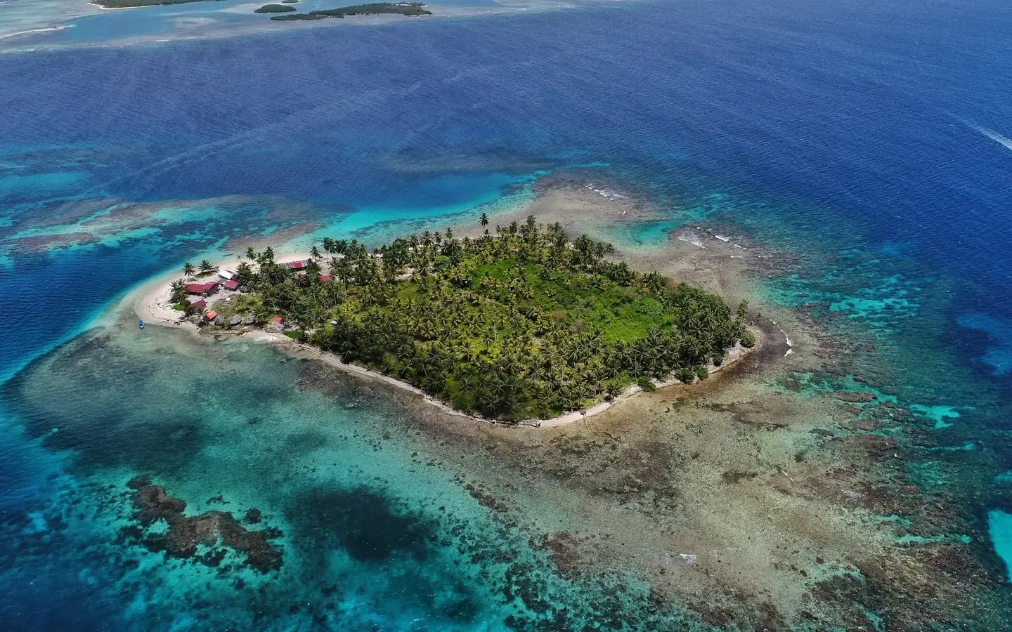 Aerial view of a palm-covered San Blas island surrounded by turquoise Caribbean waters, Panama