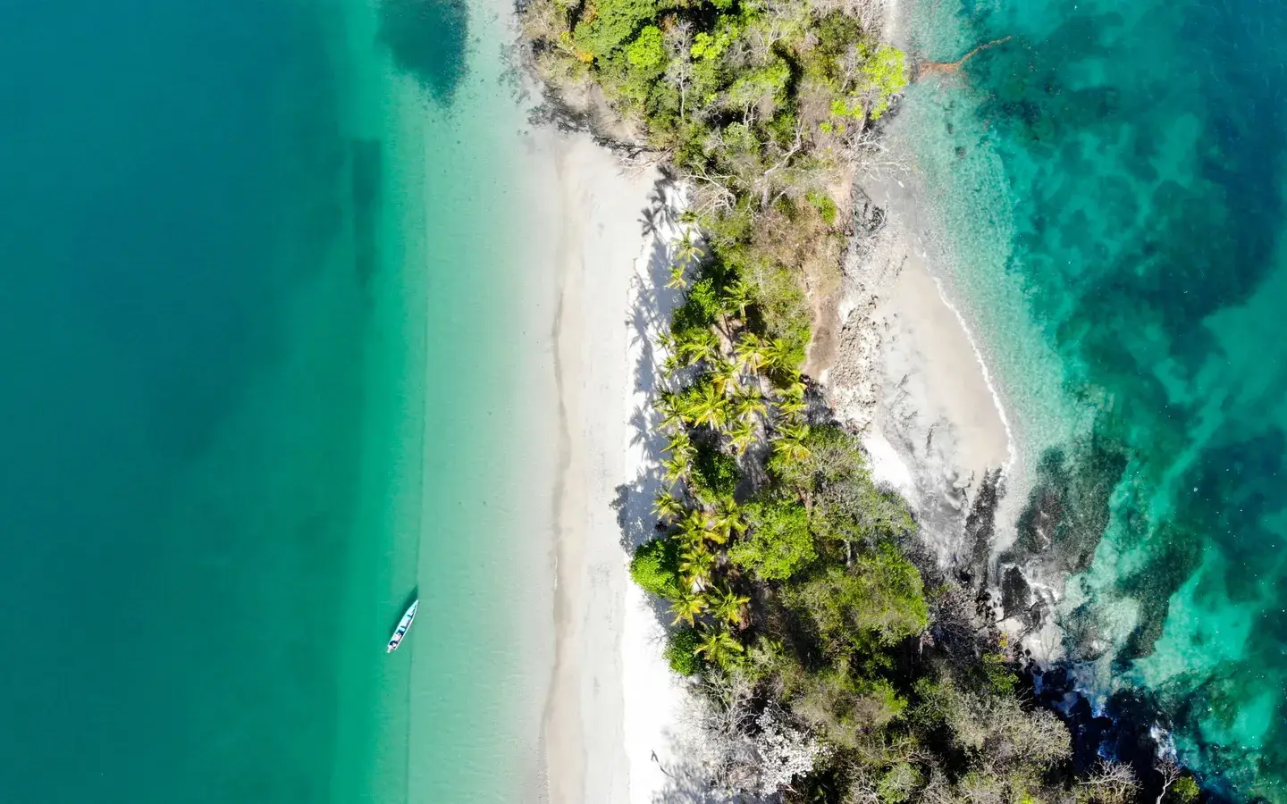 Aerial view of Isla Gámez, a palm-covered islet with white sand in the Gulf of Chiriquí, Panama