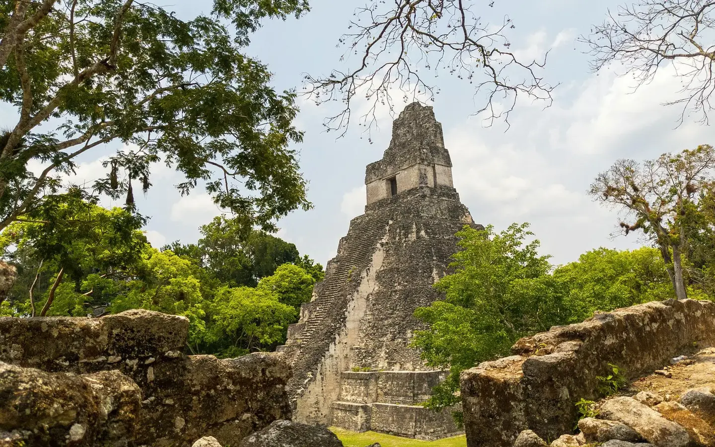 Temple I Great Jaguar rising above the rainforest canopy at Tikal, Guatemala